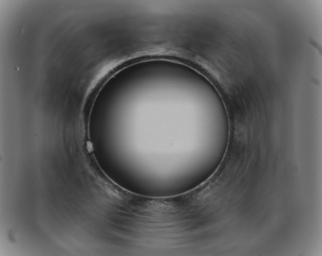 X0000097771270200803141737
