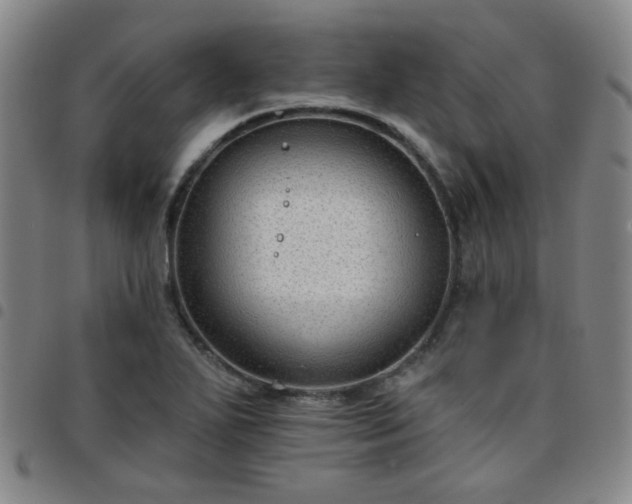 X0000097771271200803141737