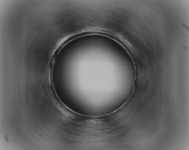 X0000097771272200803141737