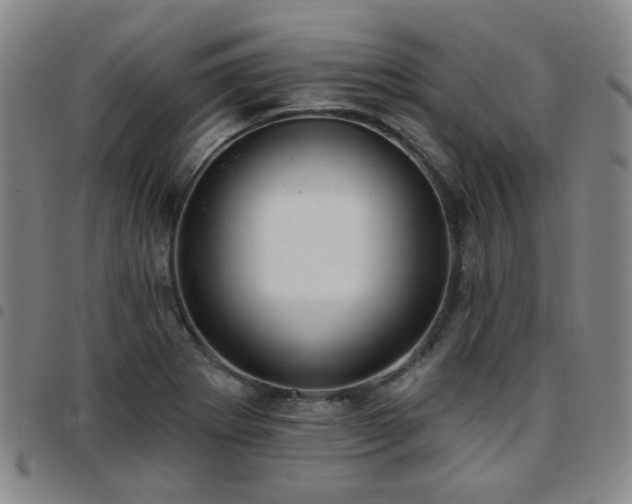 X0000097771273200803141737
