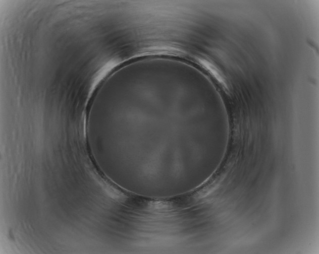X0000097771275200803141737
