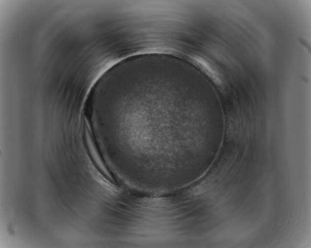 X0000097771276200803141737