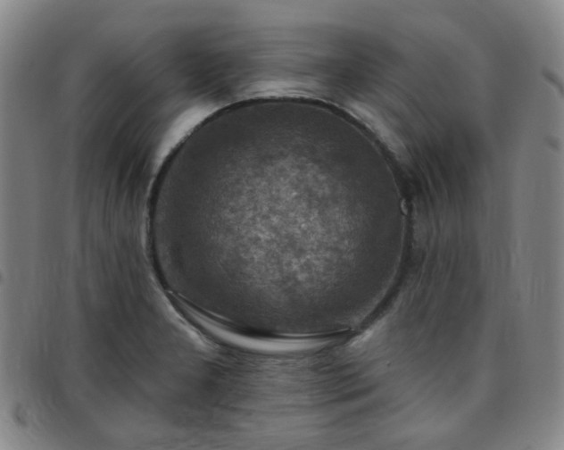 X0000097771277200803141737