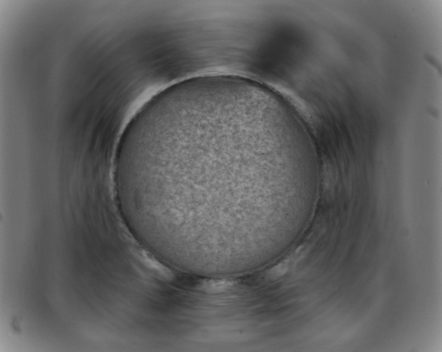 X0000097771278200803141737