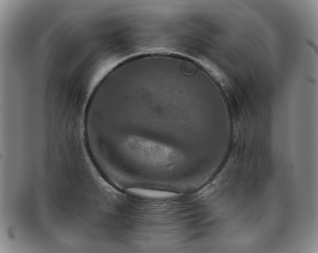 X0000097771279200803141737