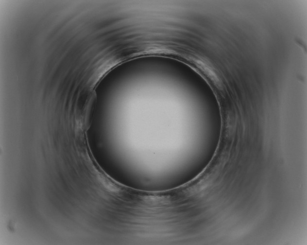 X0000097771281200803141737