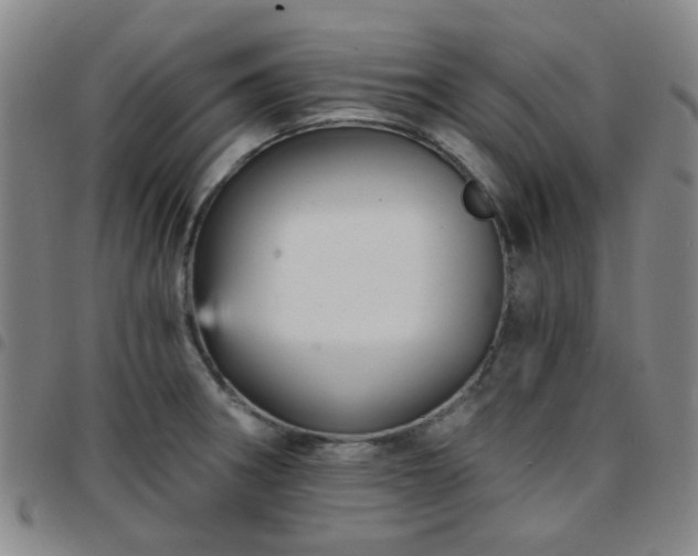 X0000097771282200803141737
