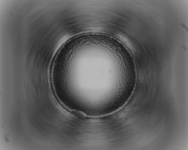 X0000097771283200803141737