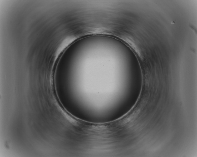 X0000097771285200803141737