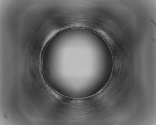 X0000097771286200803141737
