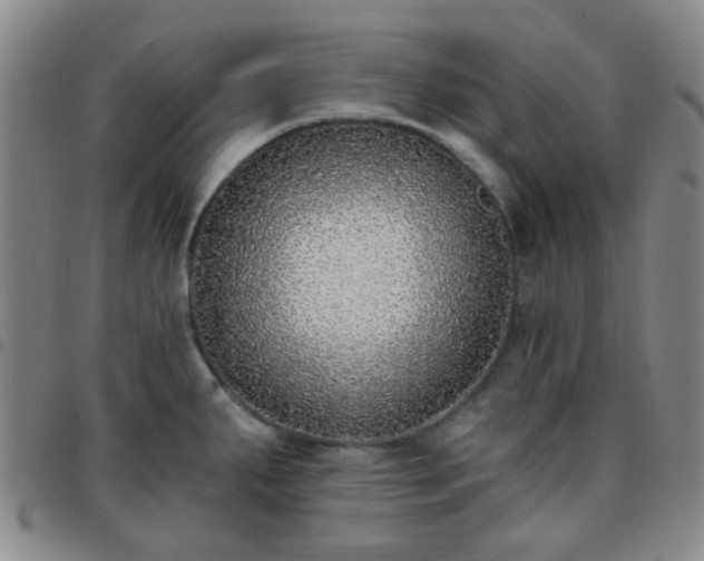 X0000097771287200803141737