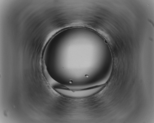 X0000097771288200803141737