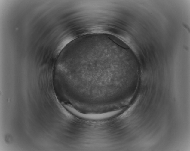 X0000097771289200803141737