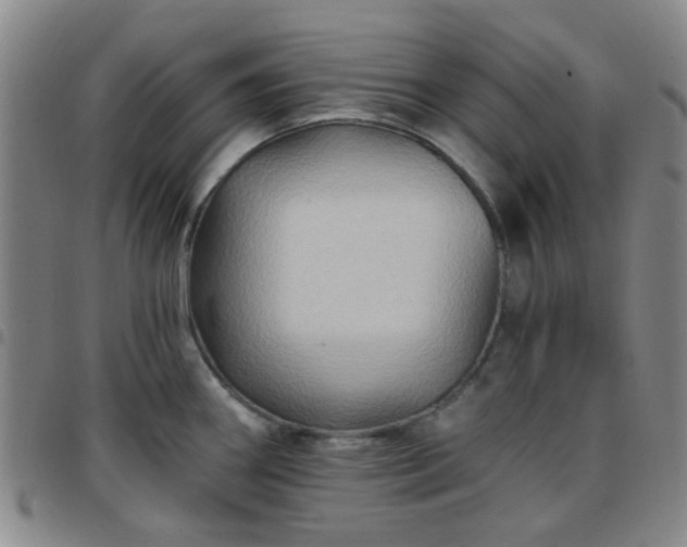 X0000097771290200803141737