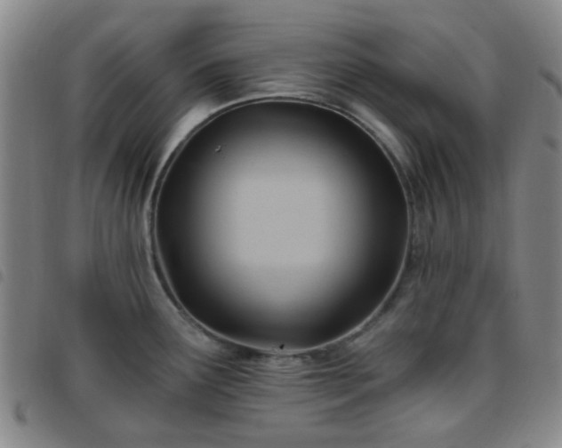 X0000097771291200803141737
