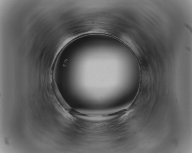 X0000097771292200803141737