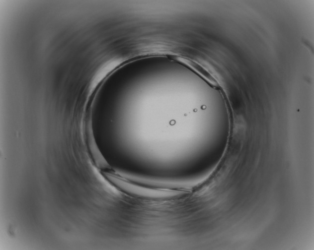 X0000097771293200803141737