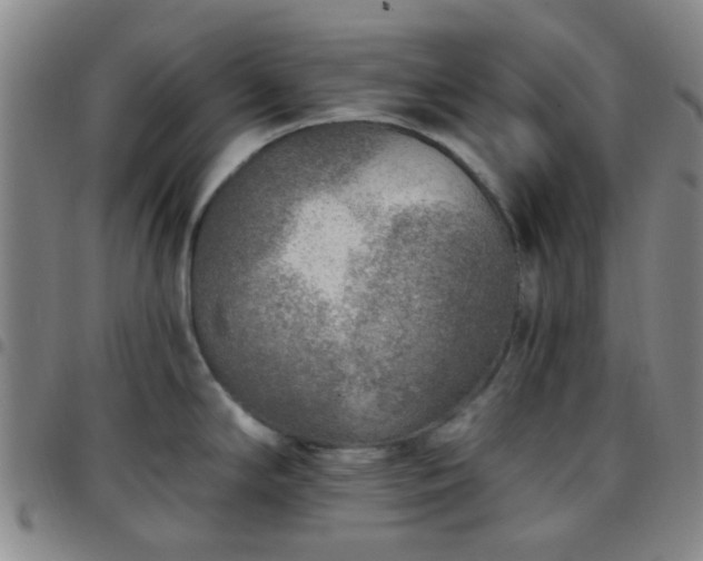 X0000097771294200803141737