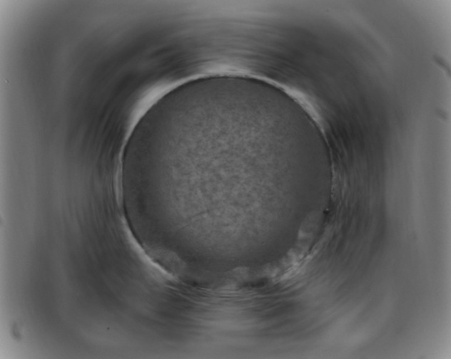 X0000097771295200803141737