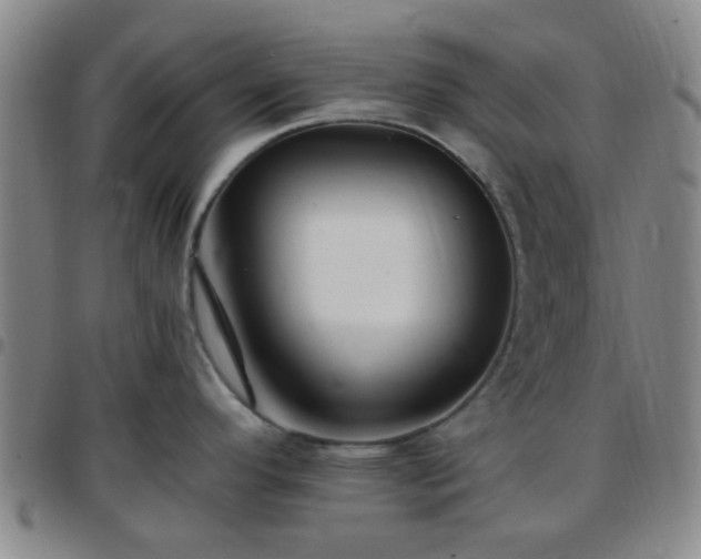 X0000097771296200803141737