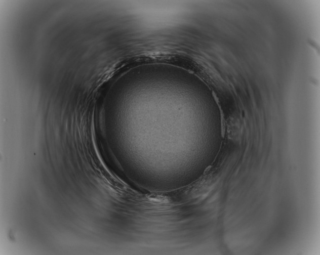 X0000097771298200803141736