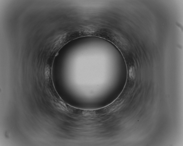 X0000097771299200803141736