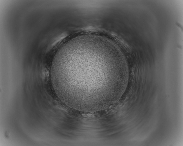 X0000097771302200803141736