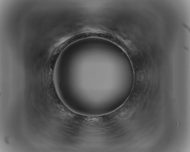 X0000097771303200803141736
