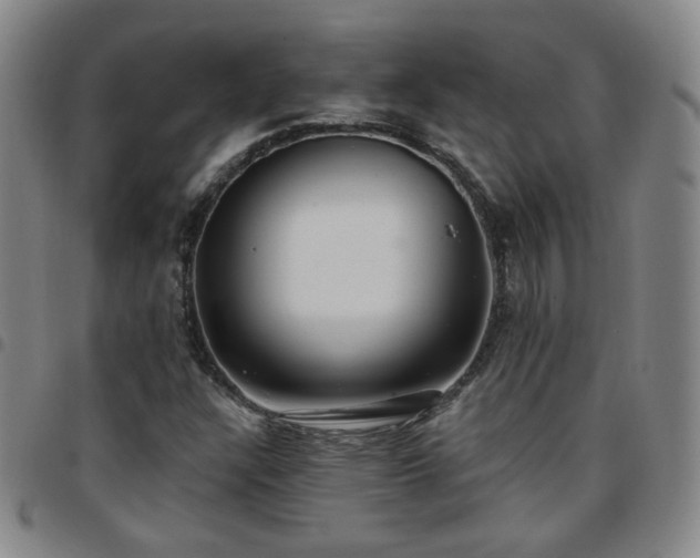 X0000097771304200803141736