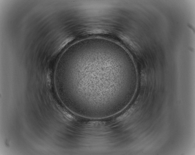 X0000097771305200803141736