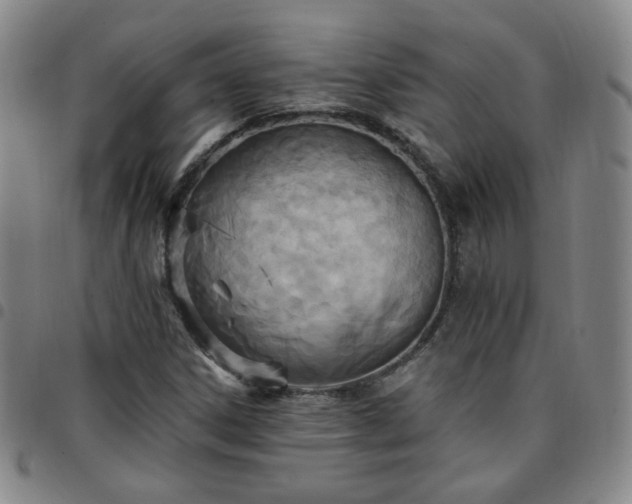 X0000097771306200803141736