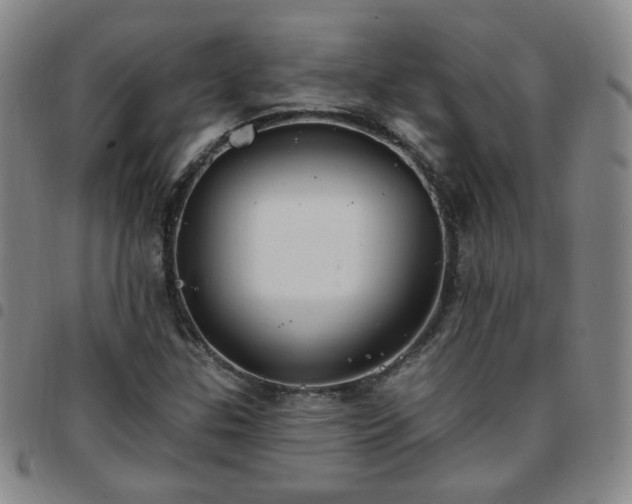 X0000097771307200803141736