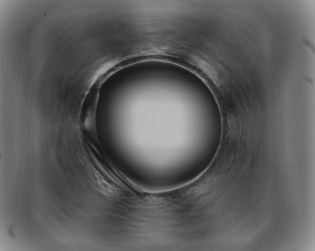 X0000097771308200803141736