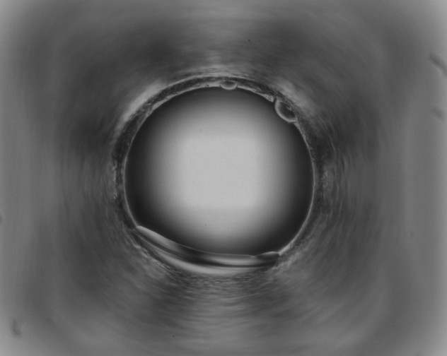 X0000097771310200803141736