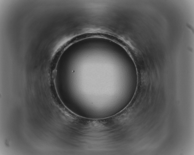 X0000097771311200803141736
