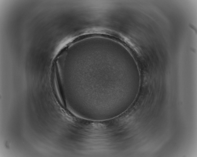 X0000097771312200803141736