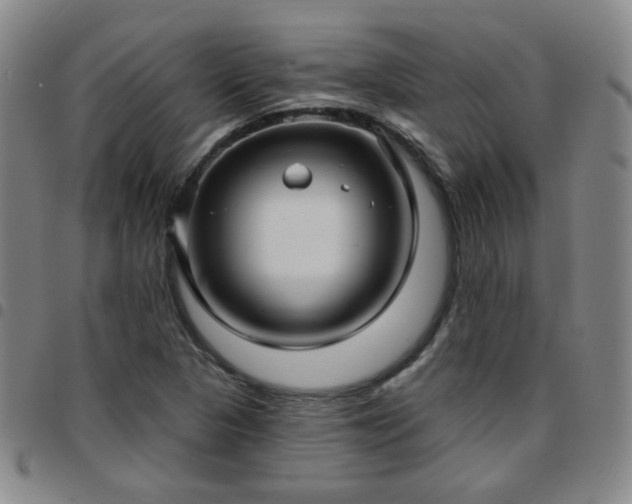 X0000097771313200803141736