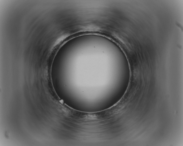 X0000097771315200803141736