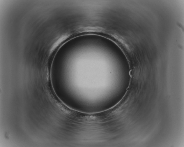 X0000097771317200803141736