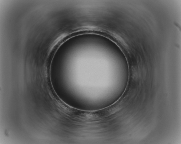 X0000097771318200803141736