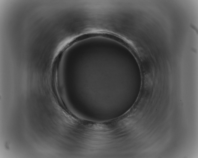 X0000097771319200803141736