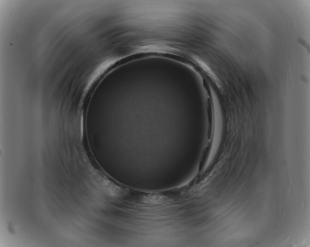 X0000097771323200803141736