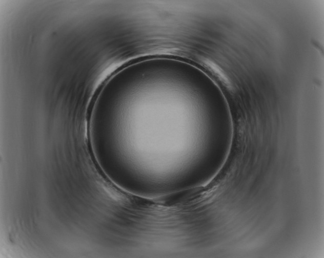 X0000097771324200803141736