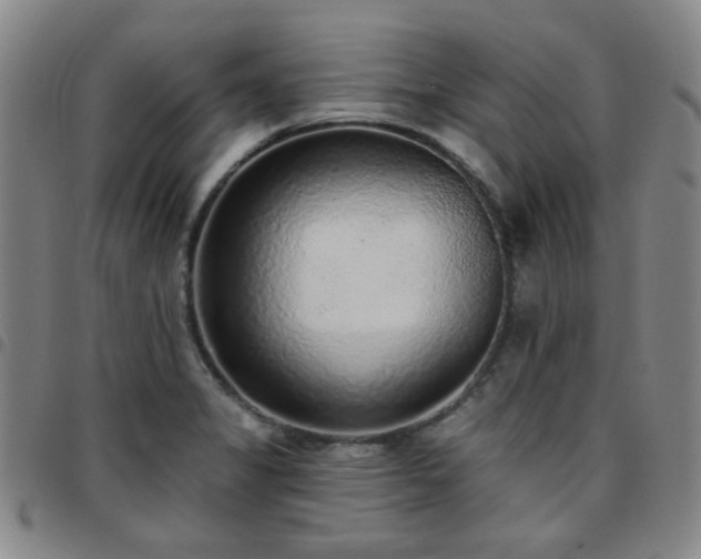 X0000097771325200803141736