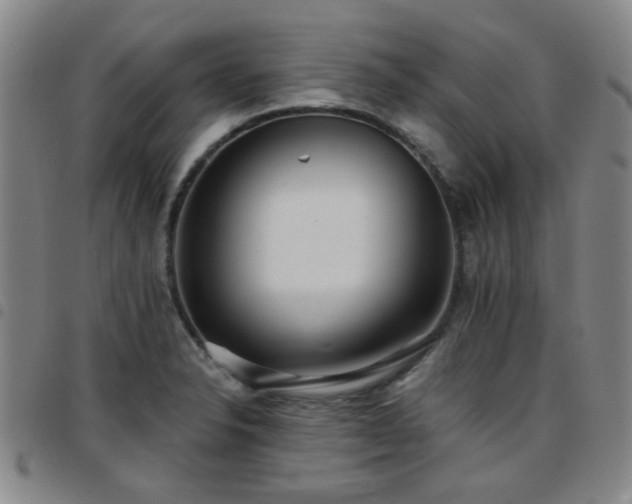 X0000097771326200803141736