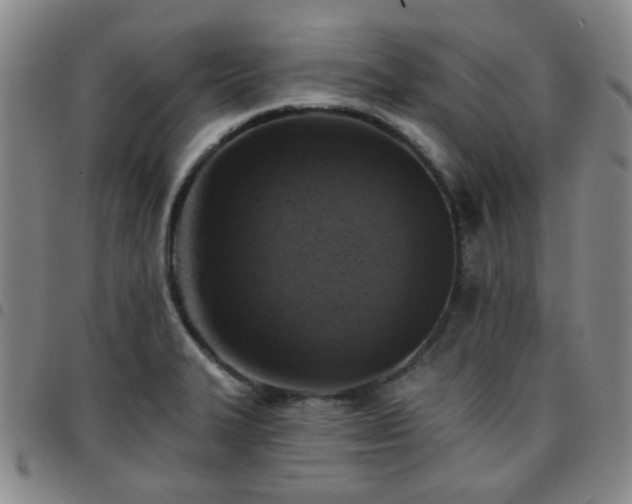 X0000097771327200803141736
