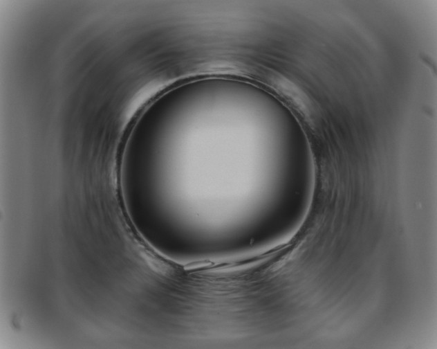 X0000097771328200803141736