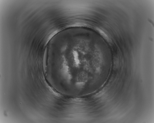 X0000097771329200803141736