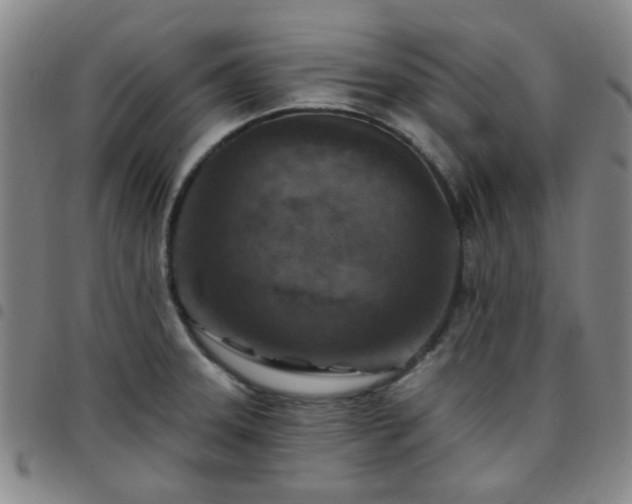 X0000097771331200803141736