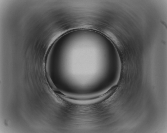 X0000097771332200803141736
